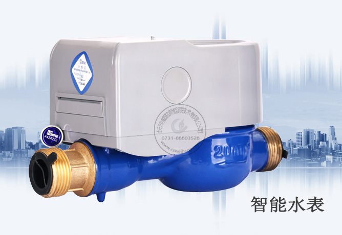 電子遠(yuǎn)傳水表