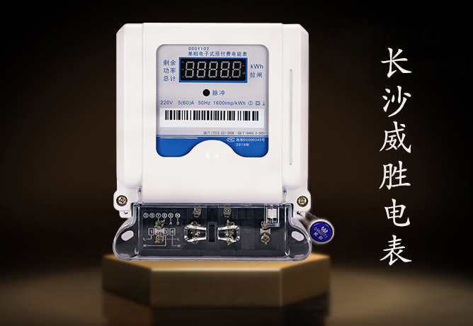 長(zhǎng)沙威勝電表
